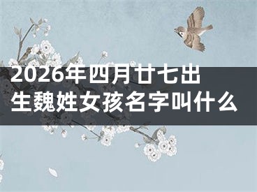 2026年四月廿七出生魏姓女孩名字叫什么