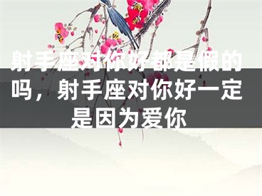 射手座对你好都是假的吗,射手座对你好一定是因为爱你