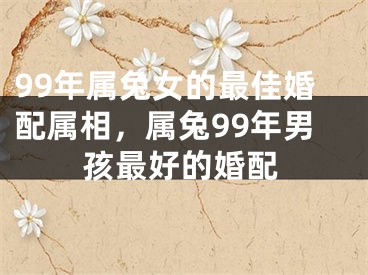 99年属兔女的最佳婚配属相,属兔99年男孩最好的婚配