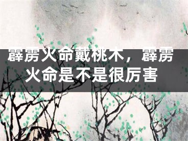 霹雳火命戴桃木,霹雳火命是不是很厉害