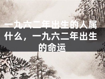 一九六二年出生的人属什么，一九六二年出生的命运