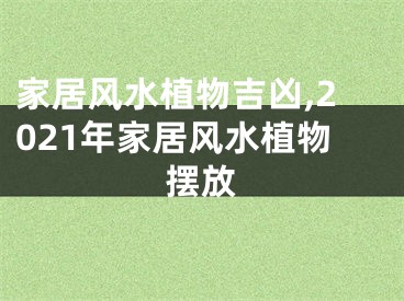 家居风水植物吉凶,2021年家居风水植物摆放