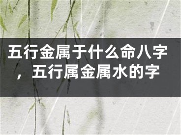 五行金属于什么命八字,五行属金属水的字