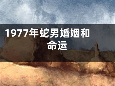 1977年蛇男婚姻和命运