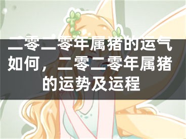 二零二零年属猪的运气如何，二零二零年属猪的运势及运程