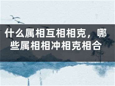什么属相互相相克，哪些属相相冲相克相合