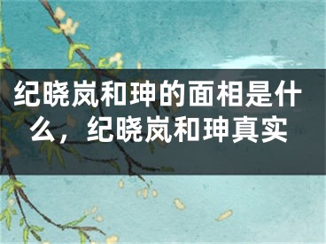 纪晓岚和珅的面相是什么，纪晓岚和珅真实