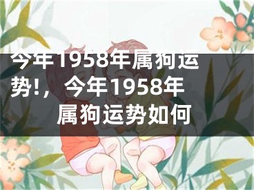 今年1958年属狗运势!,今年1958年属狗运势如何