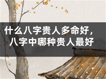 什么八字贵人多命好，八字中哪种贵人最好