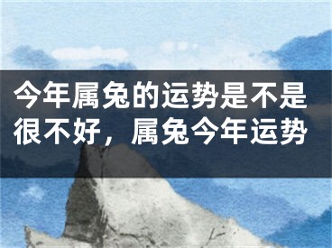 今年属兔的运势是不是很不好，属兔今年运势