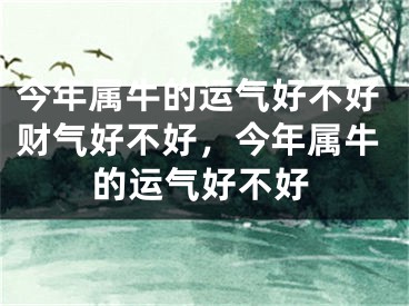 今年属牛的运气好不好财气好不好，今年属牛的运气好不好