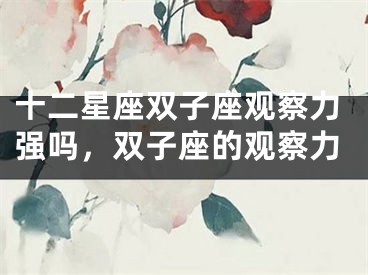 十二星座双子座观察力强吗，双子座的观察力