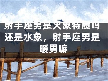 射手座男是火象特质吗还是水象，射手座男是暖男嘛