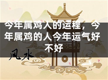 今年属鸡人的运程，今年属鸡的人今年运气好不好