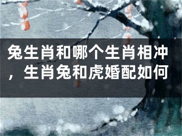 兔生肖和哪个生肖相冲，生肖兔和虎婚配如何