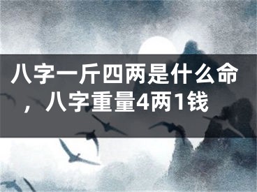 八字一斤四两是什么命,八字重量4两1钱