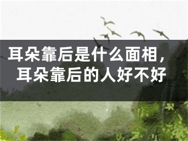耳朵靠后是什么面相,耳朵靠后的人好不好