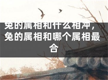 兔的属相和什么相冲，兔的属相和哪个属相最合