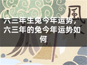 六三年生兔今年运势，六三年的兔今年运势如何