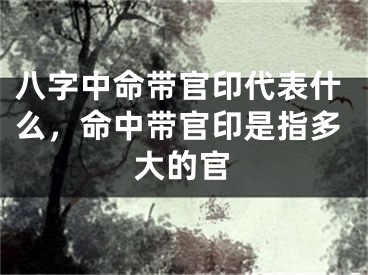 八字中命带官印代表什么，命中带官印是指多大的官