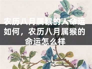 农历八月属猴的人命运如何，农历八月属猴的命运怎么样