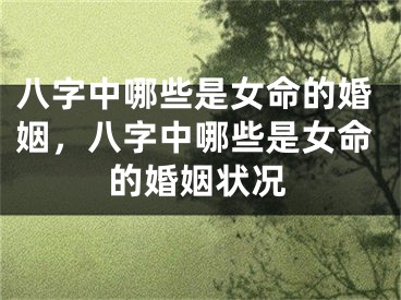 八字中哪些是女命的婚姻，八字中哪些是女命的婚姻状况
