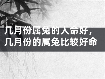 几月份属兔的人命好，几月份的属兔比较好命