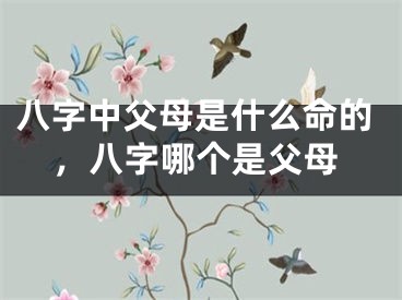 八字中父母是什么命的，八字哪个是父母