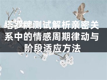 塔罗牌测试解析亲密关系中的情感周期律动与阶段适应方法