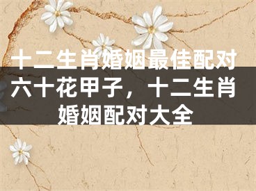 十二生肖婚姻最佳配对六十花甲子，十二生肖婚姻配对大全