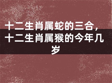 十二生肖属蛇的三合，十二生肖属猴的今年几岁