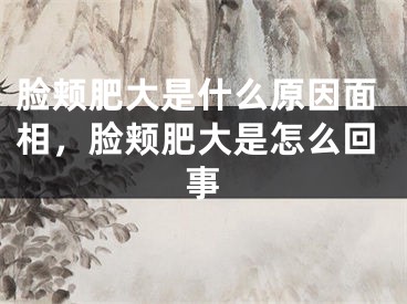脸颊肥大是什么原因面相,脸颊肥大是怎么回事