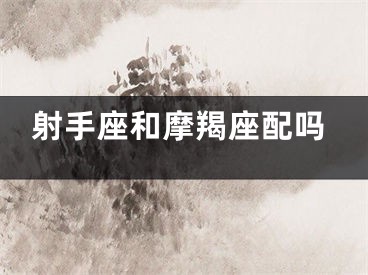 射手座和摩羯座配吗