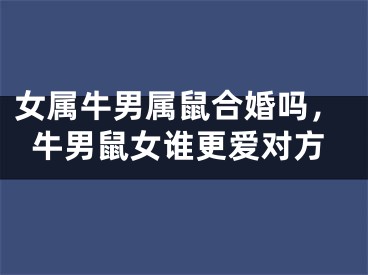 女属牛男属鼠合婚吗，牛男鼠女谁更爱对方