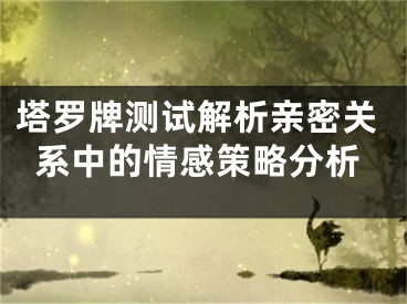 塔罗牌测试解析亲密关系中的情感策略分析