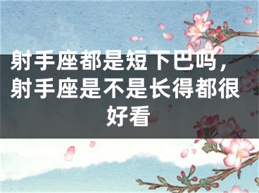 射手座都是短下巴吗，射手座是不是长得都很好看