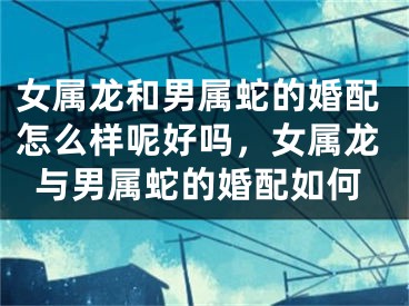 女属龙和男属蛇的婚配怎么样呢好吗，女属龙与男属蛇的婚配如何