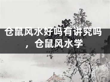 仓鼠风水好吗有讲究吗，仓鼠风水学