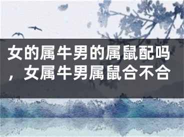 女的属牛男的属鼠配吗，女属牛男属鼠合不合