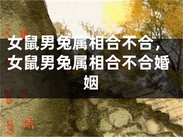 女鼠男兔属相合不合，女鼠男兔属相合不合婚姻