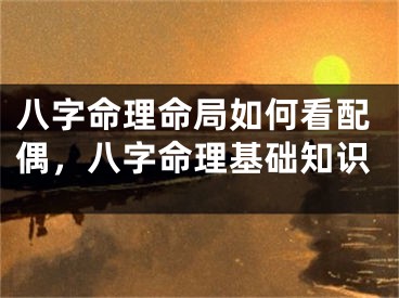 八字命理命局如何看配偶，八字命理基础知识