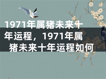 1971年属猪未来十年运程，1971年属猪未来十年运程如何