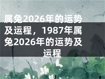 属兔2026年的运势及运程,1987年属兔2026年的运势及运程