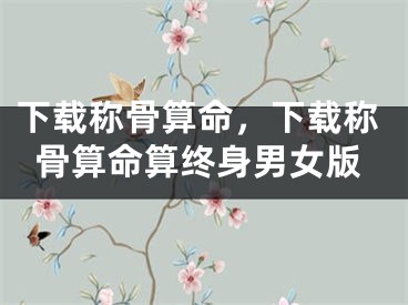 下载称骨算命，下载称骨算命算终身男女版