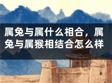 属兔与属什么相合，属兔与属猴相结合怎么样