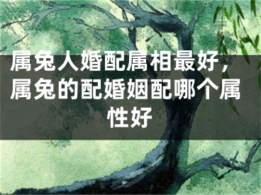 属兔人婚配属相最好，属兔的配婚姻配哪个属性好