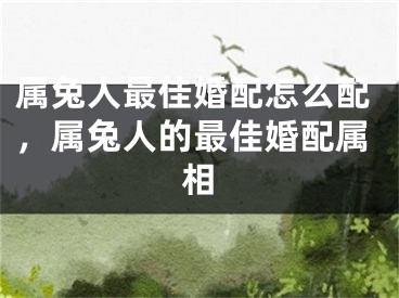 属兔人最佳婚配怎么配，属兔人的最佳婚配属相
