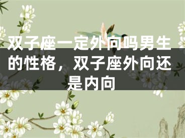 双子座一定外向吗男生的性格，双子座外向还是内向