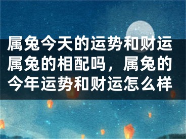 属兔今天的运势和财运属兔的相配吗,属兔的今年运势和财运怎么样