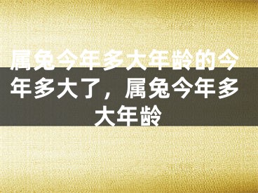 属兔今年多大年龄的今年多大了,属兔今年多大年龄